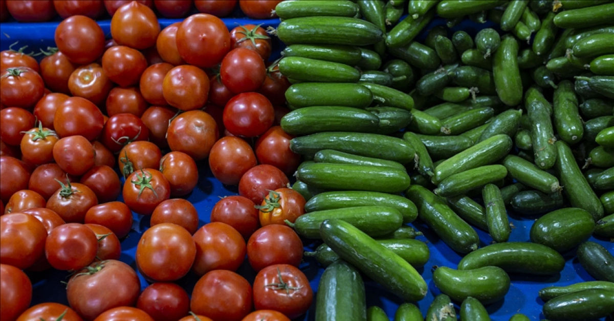 Savaş dengeleri değiştirdi: Türkiye'den Rusya'yasebze ihracatı arttı