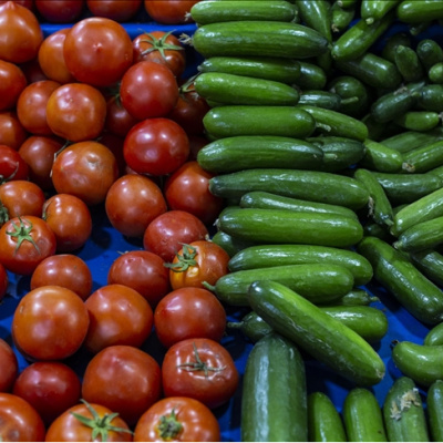 Türkiye'den Rusya'ya sebze ihracatı arttı