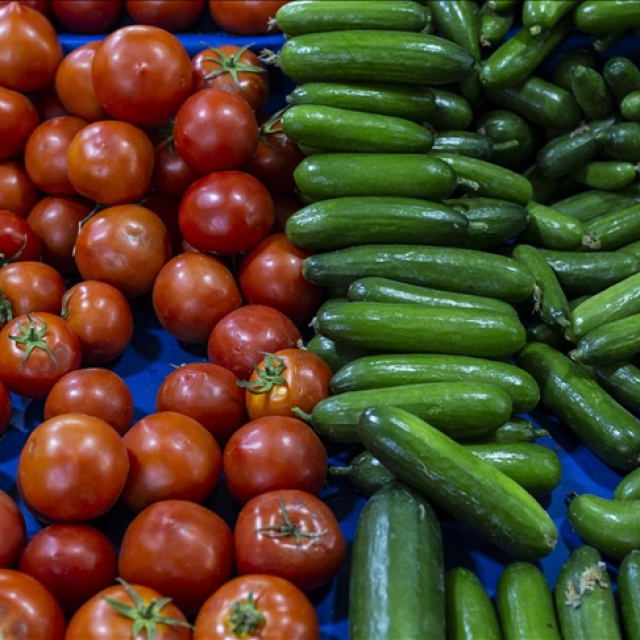 Türkiye'den Rusya'ya sebze ihracatı arttı