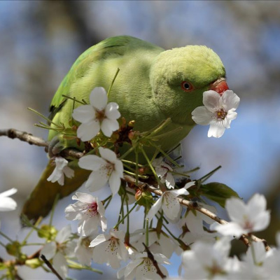 Gece ve gündüz eşitleniyor!