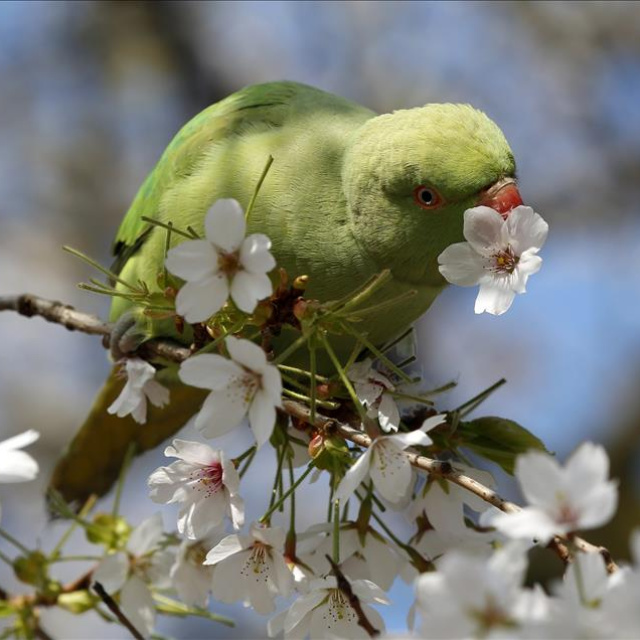 Gece ve gündüz eşitleniyor!