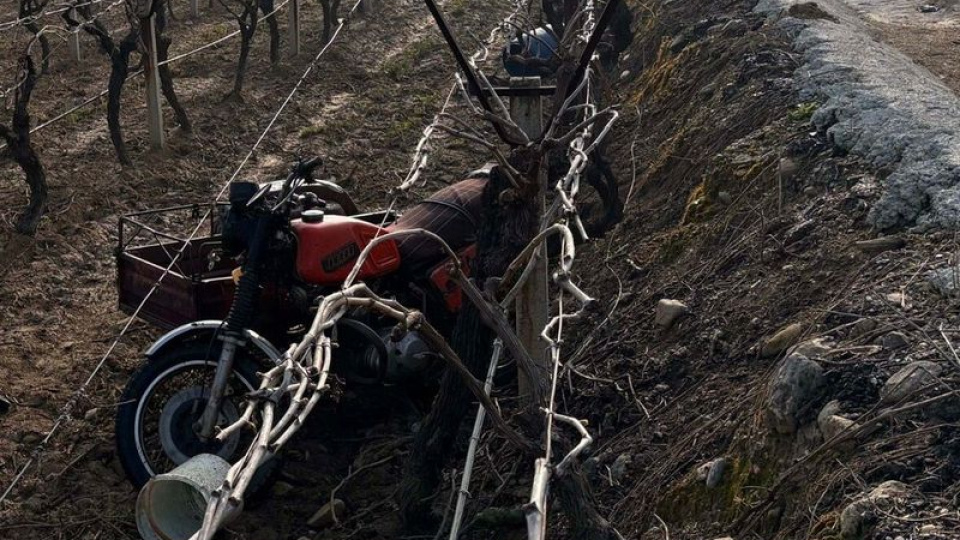 Motosiklet üzüm bağına devrildi: 1 ölü
