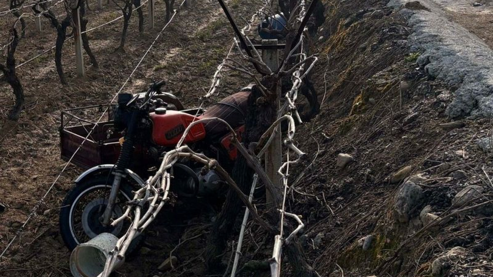 Manisa'da Sepetli Motosiklet Üzüm Bağına Devrildi: 70 Yaşındaki Sürücü Hayatını Kaybetti