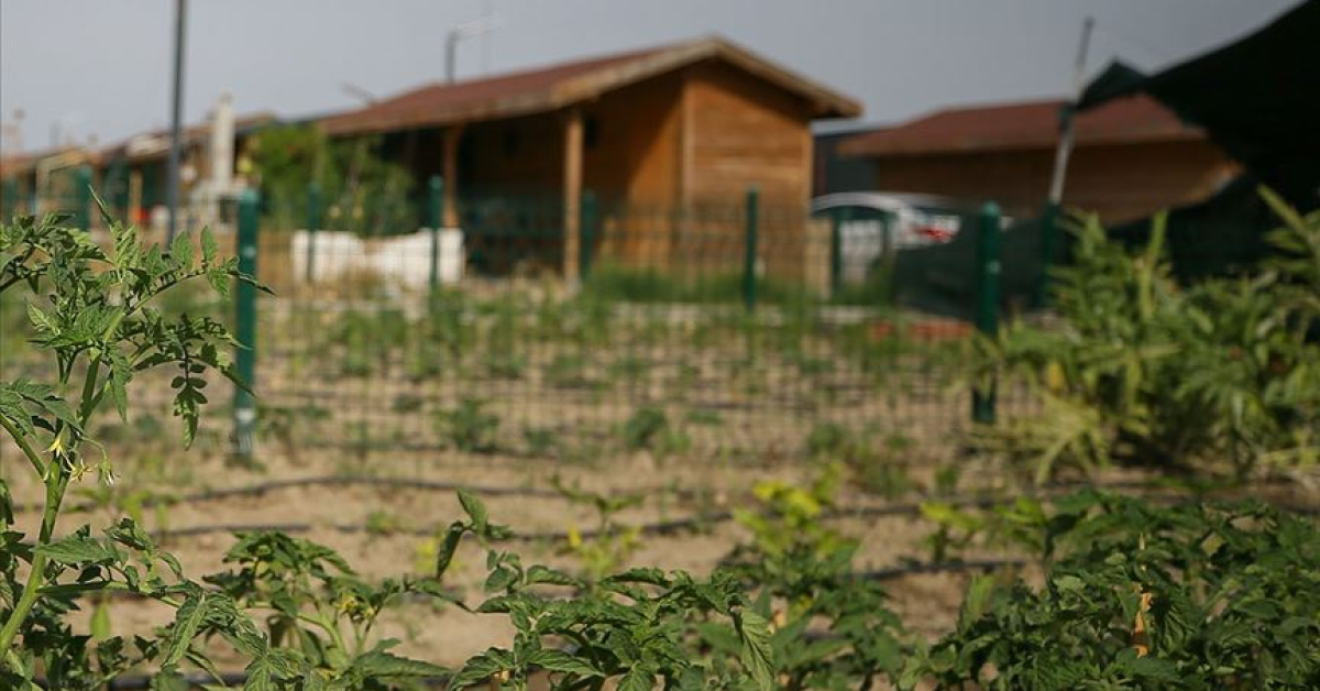 Tarım arazilerine hobi bahçesi dönemi kapanıyor: Ya Tarım ya Yaptırım!