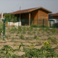 Tarım arazilerine hobi bahçesi dönemi kapanıyor