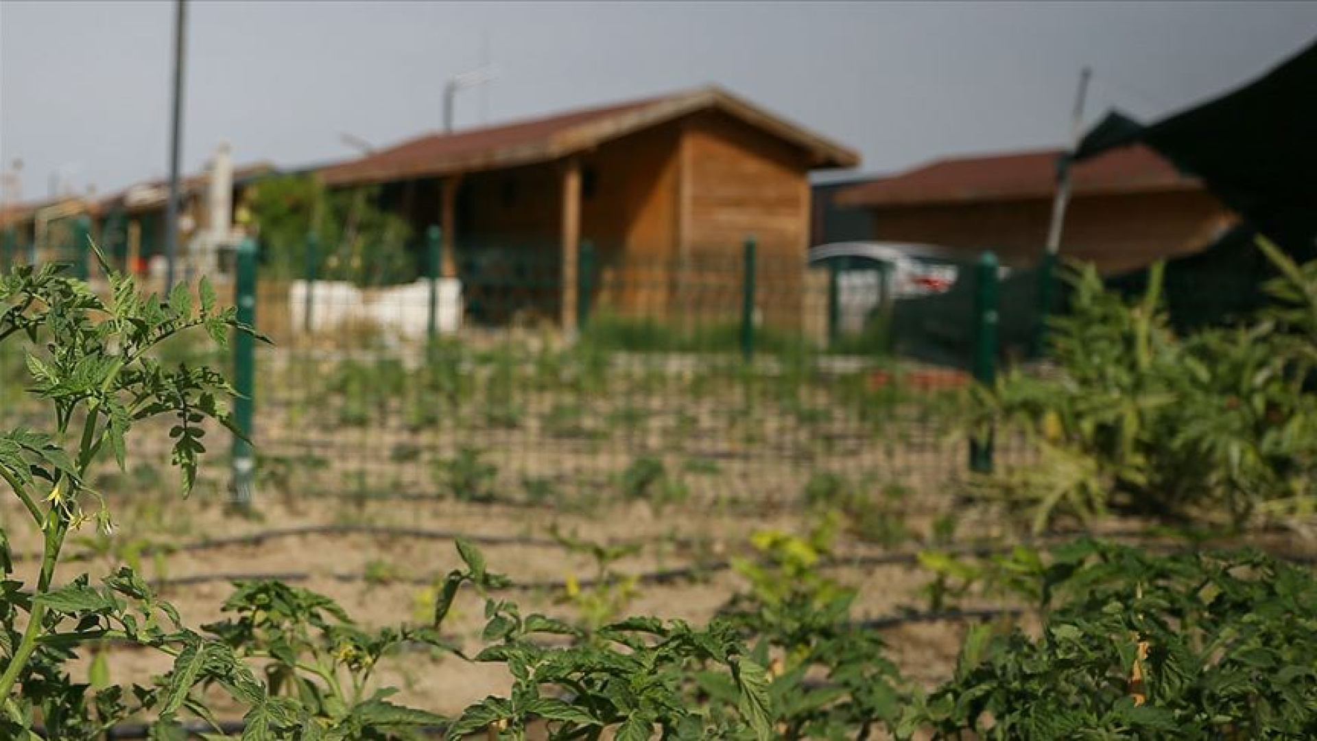 Tarım Arazilerinde Hobi Bahçesi Dönemi Sona Eriyor: AK Parti'den Köklü Yasa Teklifi