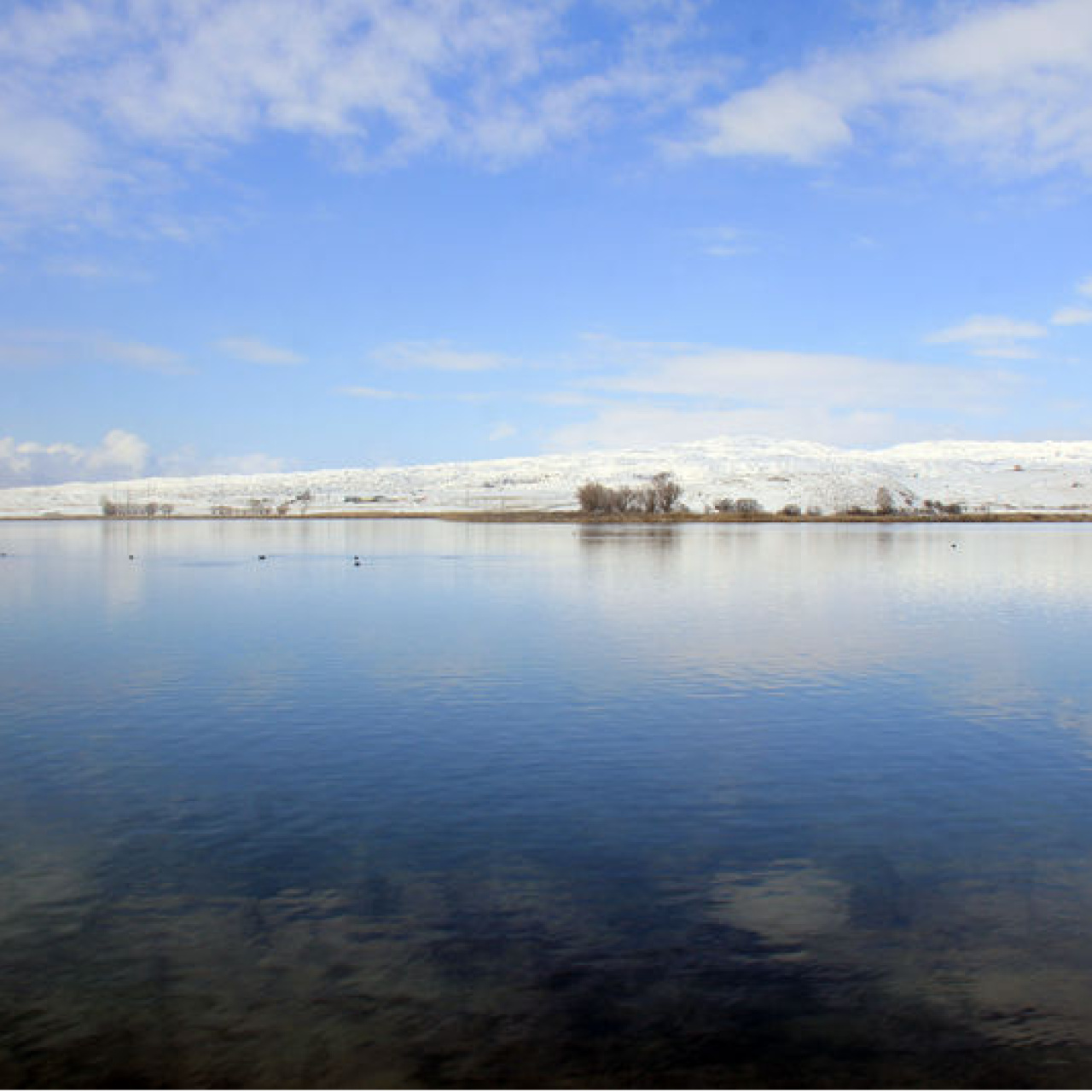 Sivas'ta av yasağı 1 Nisan'da başlayacak