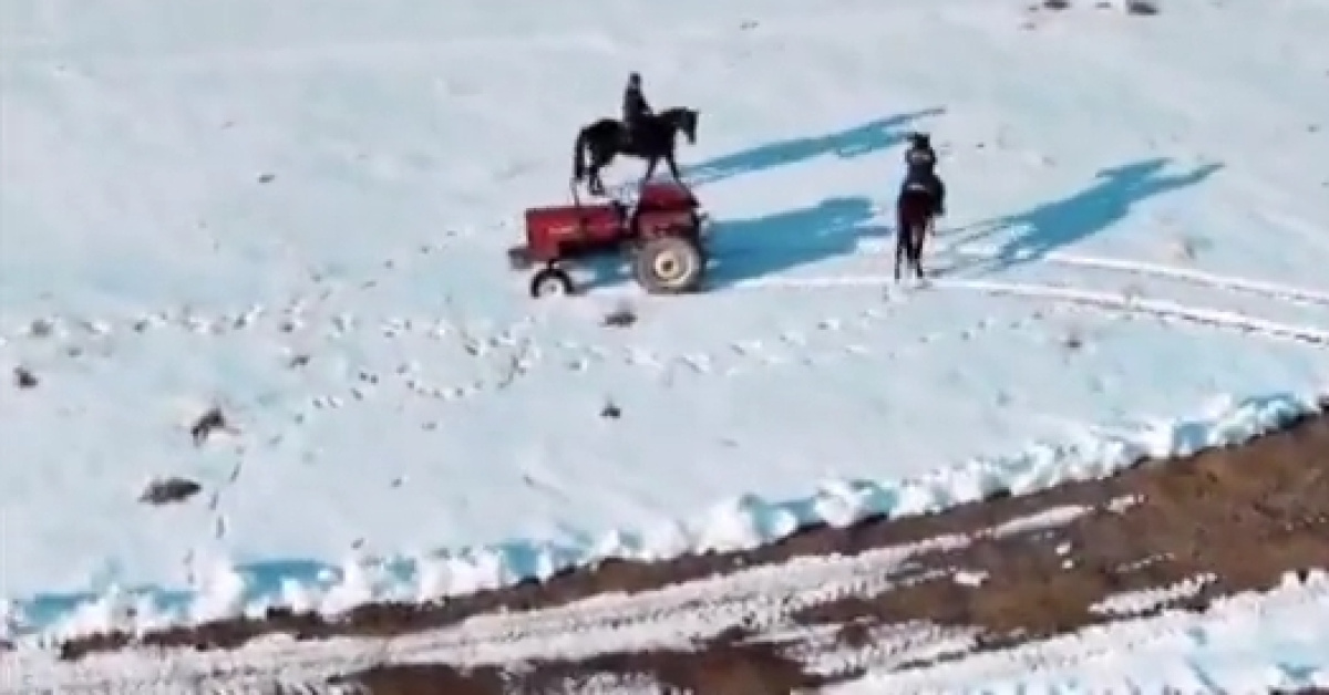 Muğla'daçalındı, 21 yıl sonra Van'dabulundu | Son dakika haberleri