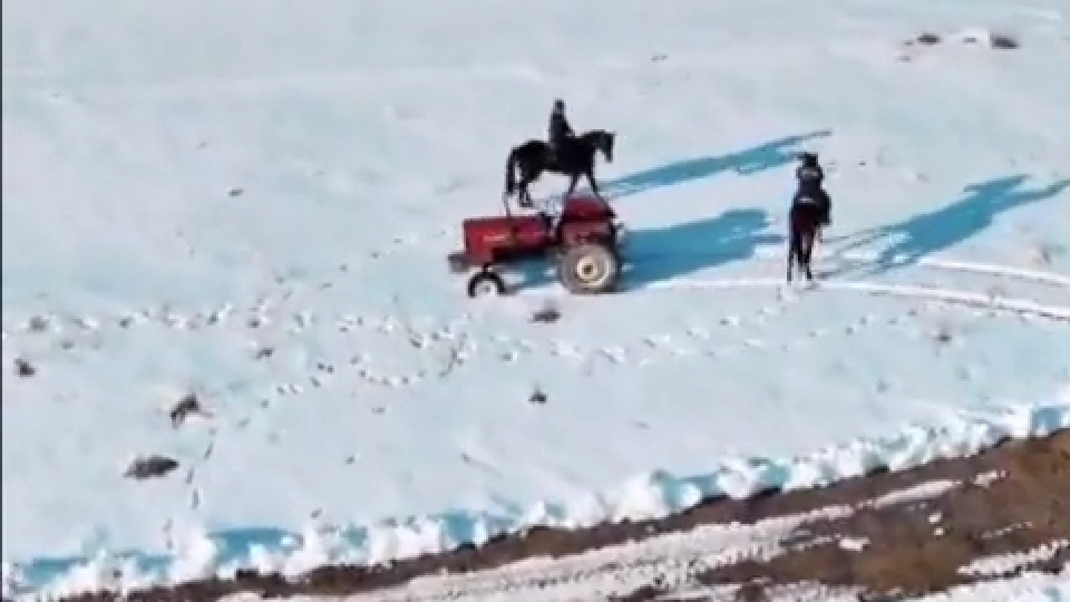 Muğla'da çalındı, 21 yıl sonra Van'da bulundu