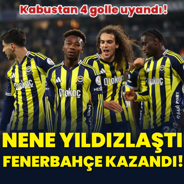 Nene yıldızlaştı, Fenerbahçe farklı kazandı!