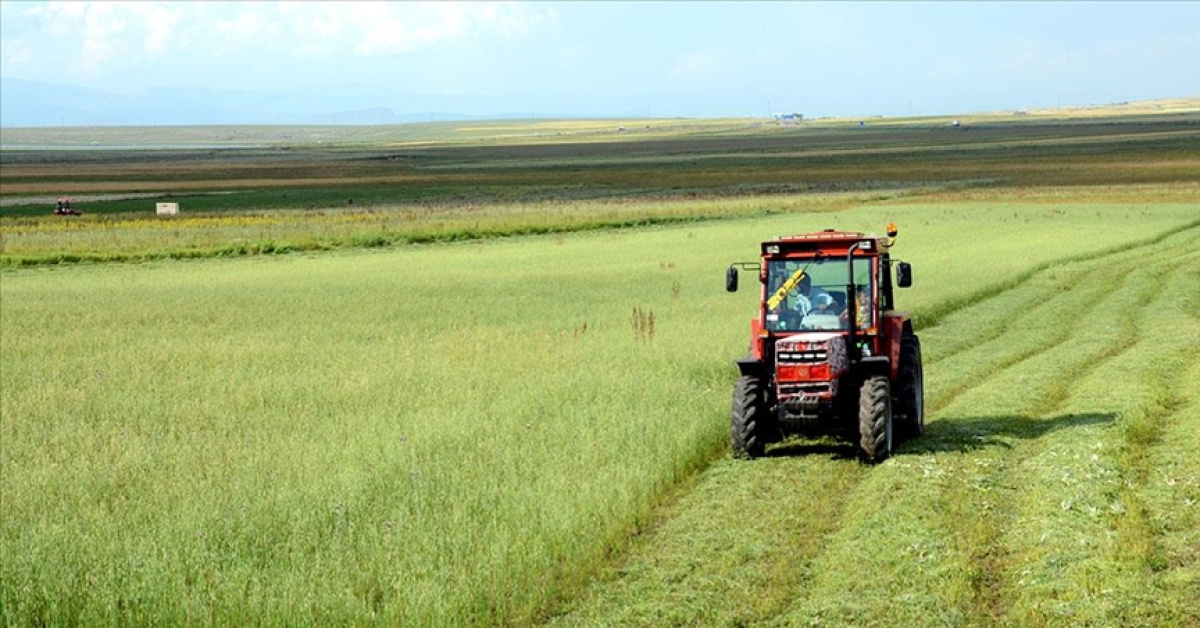 Tarımsal Girdi Fiyat Endeksi Yılında %30 Artış