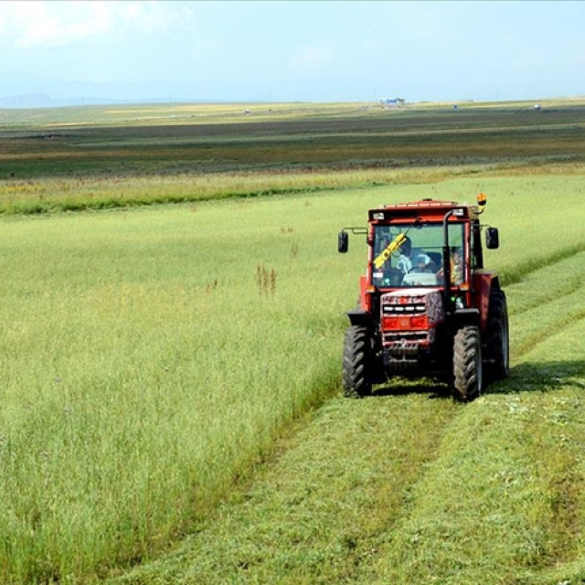 Tarım-GFE arttı
