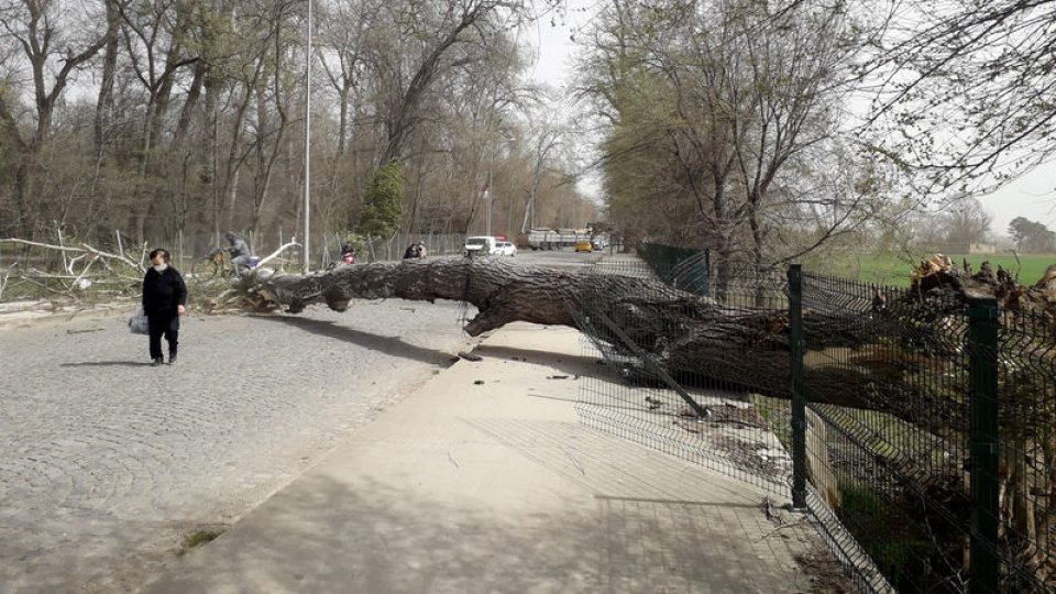 Marmara için fırtına uyarısı