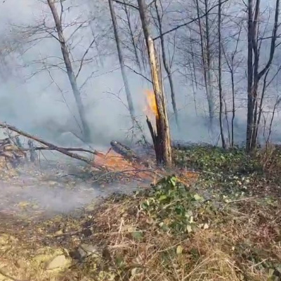 Kastamonu Üniversitesi "risk haritası" oluşturacak