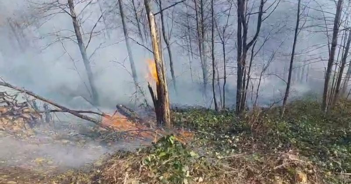 Kastamonu Üniversitesi'nde Orman Yangın Riski Modellenmesi Projesi