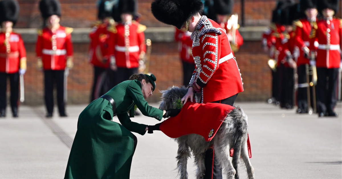 Prenses Kate, Aziz Patrick Günü'nde kurt köpeği selamladı