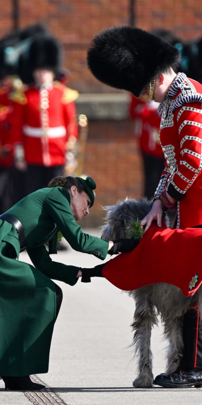 Prenses Kate maskot köpeği unutmadı
