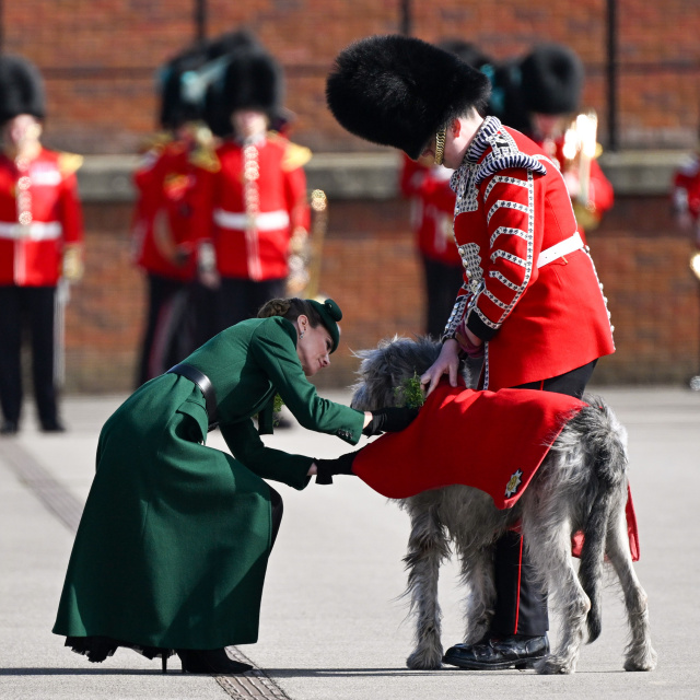 Prenses Kate maskot köpeği unutmadı