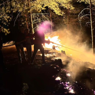 Hatay Dörtyol'da orman yangını