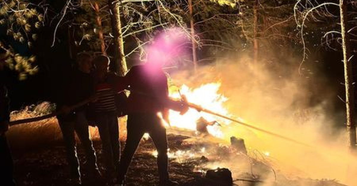 Hatay Dörtyol'da Orman Yangını Kontrol Altına