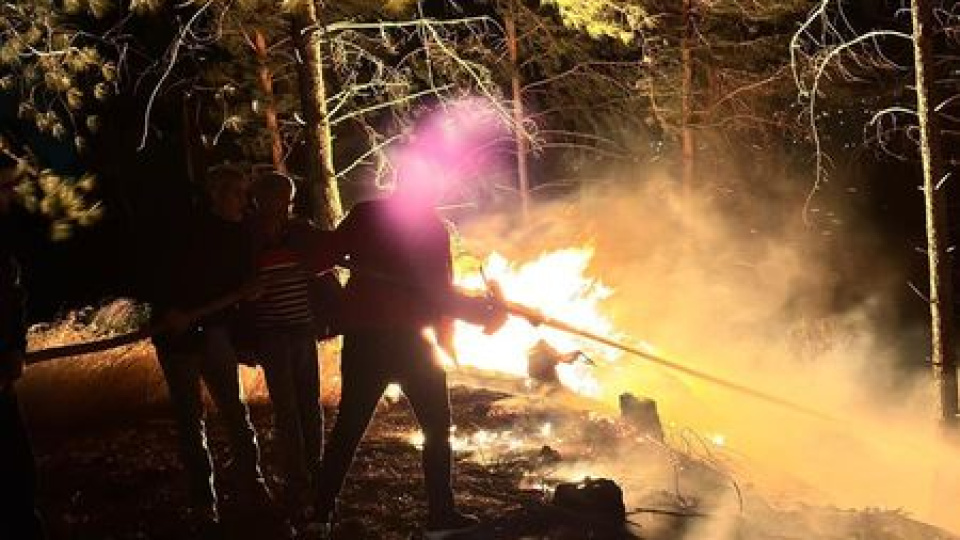 Hatay Dörtyol'da orman yangını