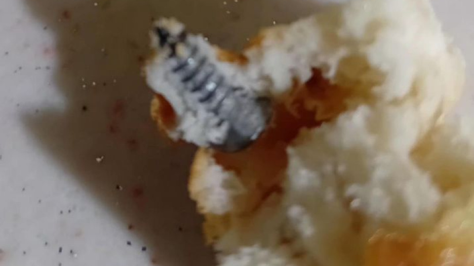 Ekmekten çıktı! Neye uğradığını şaşırdı!