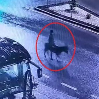 Eşekli soygunda yeni gelişme