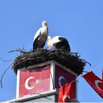 Can ve Canan 2'nci yıllarında da İznik'te buluştu