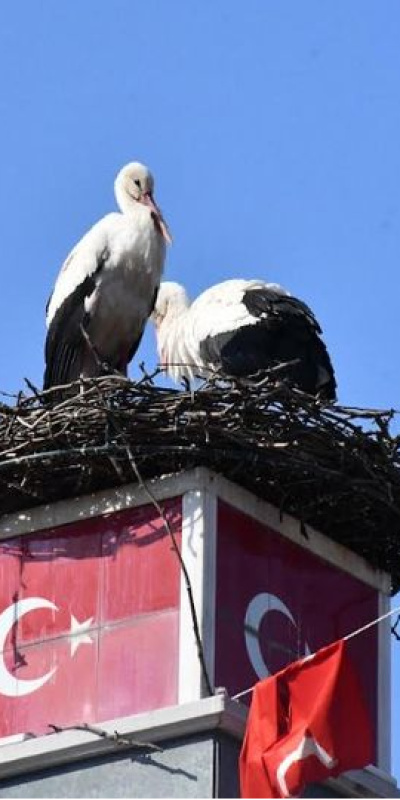Can ve Canan 2'nci yıllarında da İznik'te buluştu