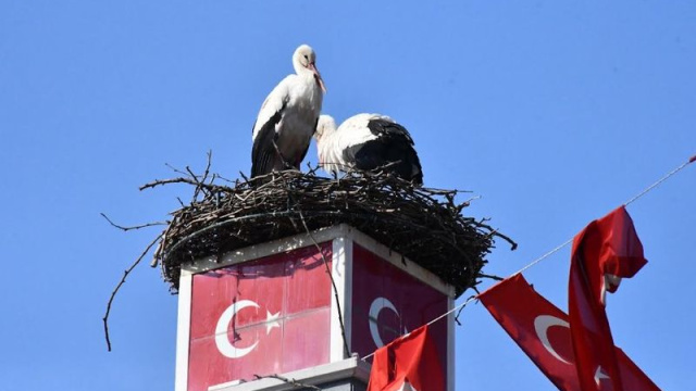 Can ve Canan 2'nci yıllarında da İznik'te buluştu