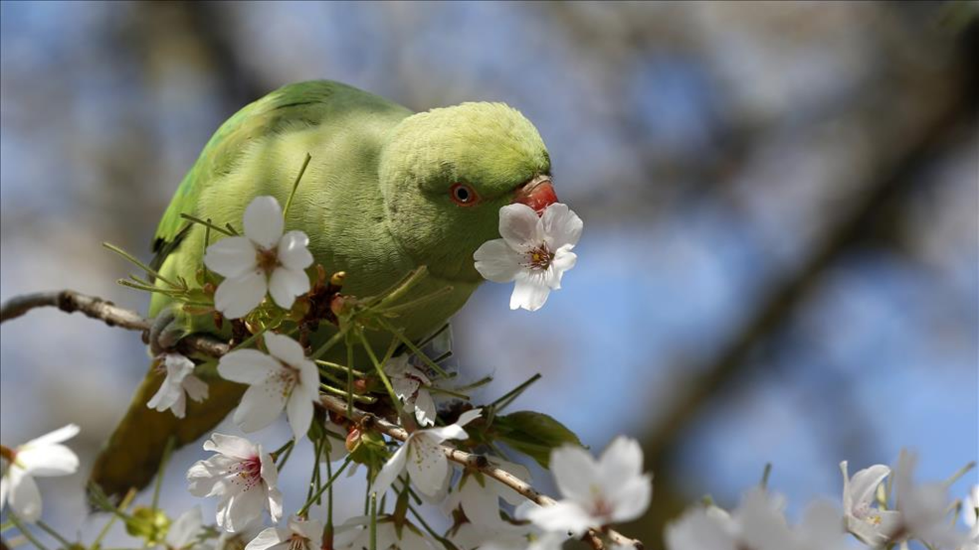 Bahar mevsimi başlıyor: 21 Mart ekinoksu geliyor! Mart ekinoksu nedir, özellikleri nelerdir, ekinoksun önemi nedir?