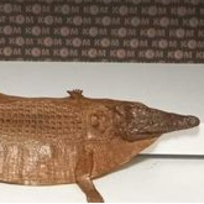 Denetimde timsah derisi bulundu!