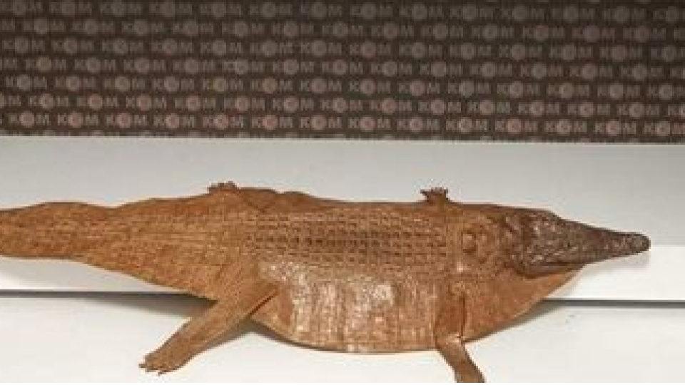 Denetimde timsah derisi bulundu!