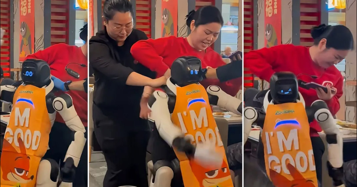 Dans eden robot restoranda korkunç olay! - Robot teknolojisi