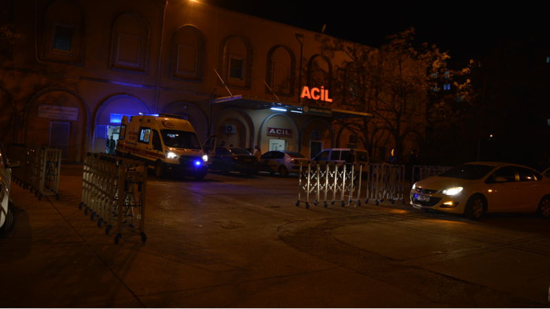 Mardin’de dereye düşen Medine boğuldu