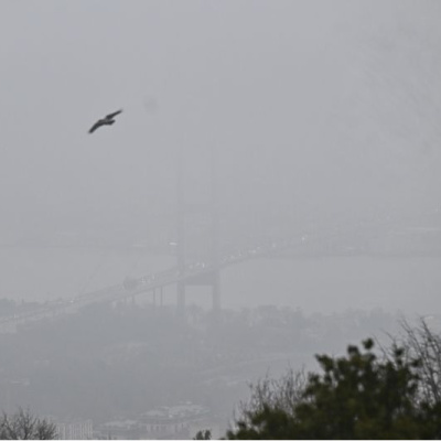 İstanbul'da yoğun sis