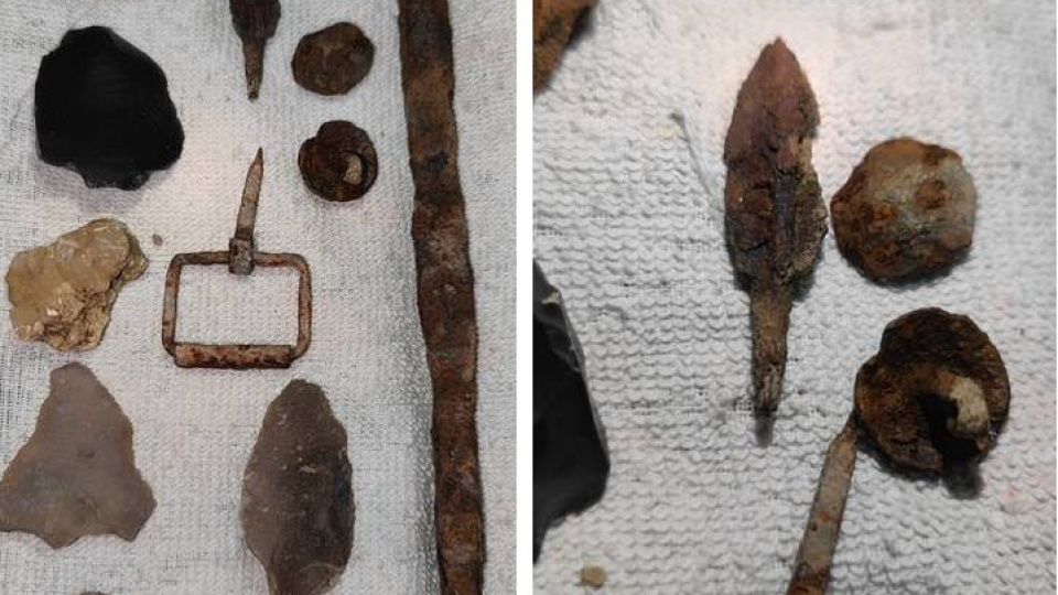 Milli parkı gezerken buldular!