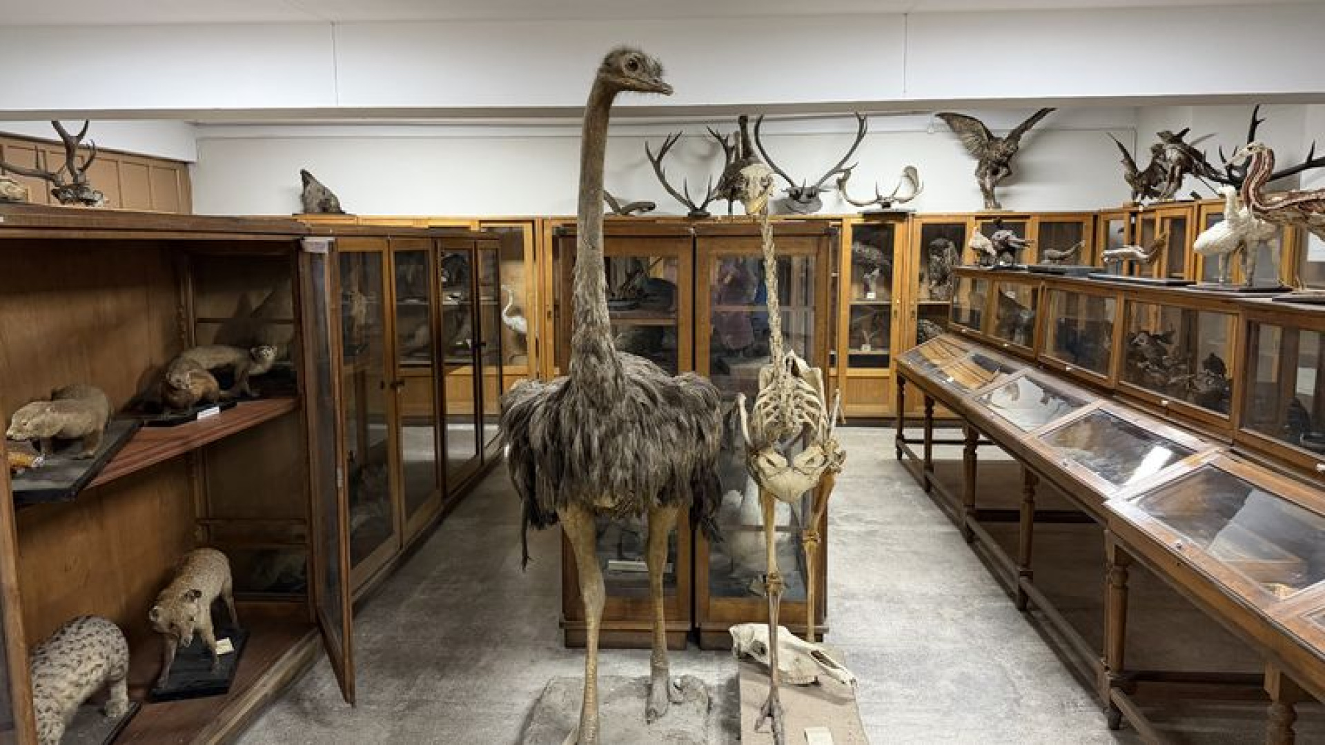 2'nci Dünya Savaşı döneminde genişledi! Müzede korunuyor