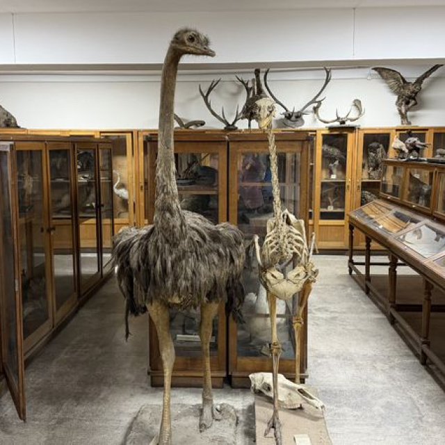 2'nci Dünya Savaşı döneminde genişledi! Müzede korunuyor