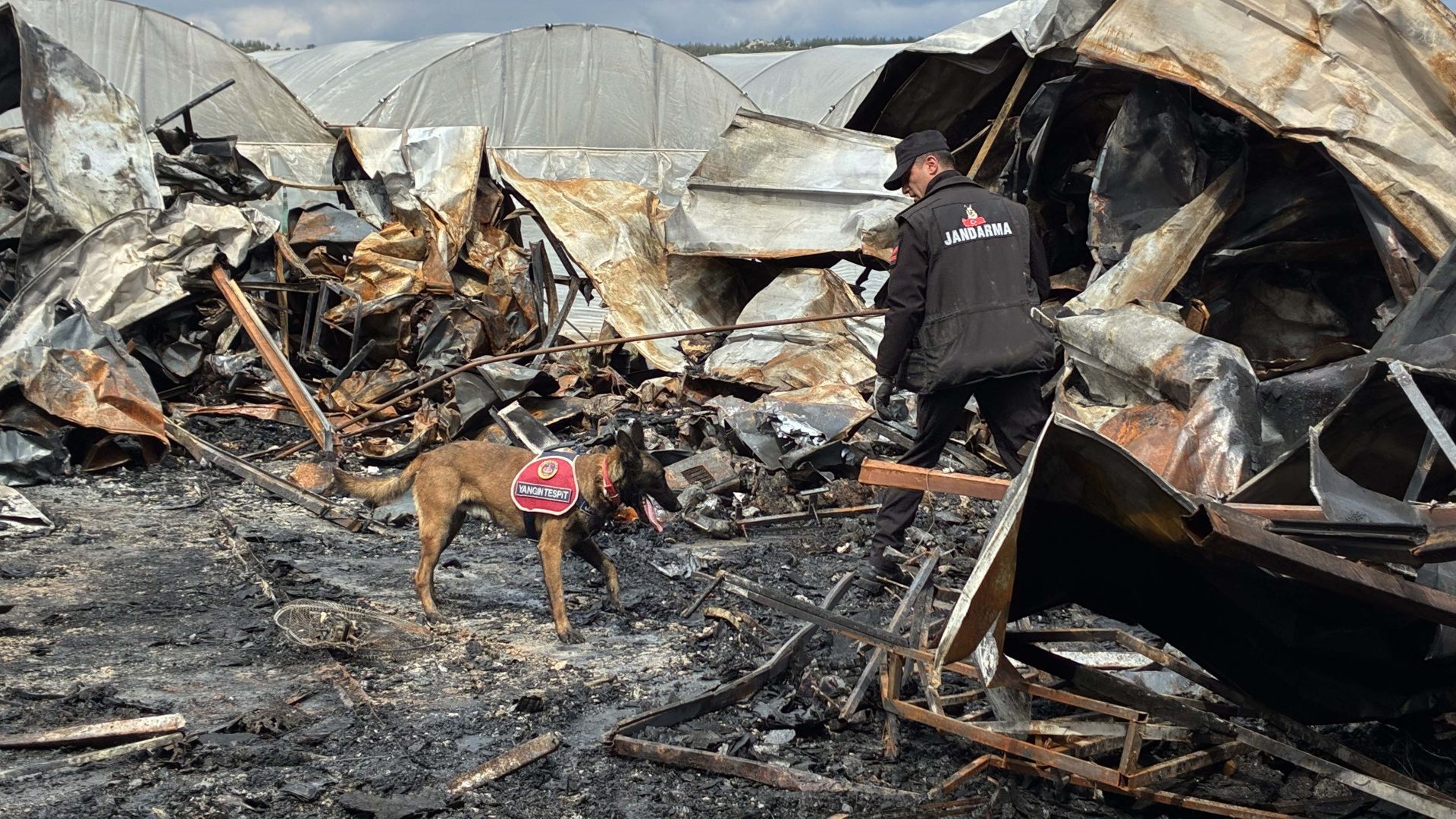 Antalya'da 5'i çocuk 6 kişinin öldüğü faciada mangal detayı! | Son dakika haberleri