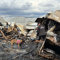 6 kişinin öldüğü faciada mangal detayı!