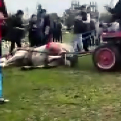 Atlara eziyete temizlik cezası!