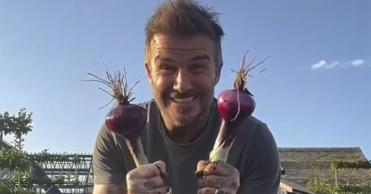 David Beckham Chelsea Çiçek Fuarı'nda Bahçe Ev Sahibi Olacak