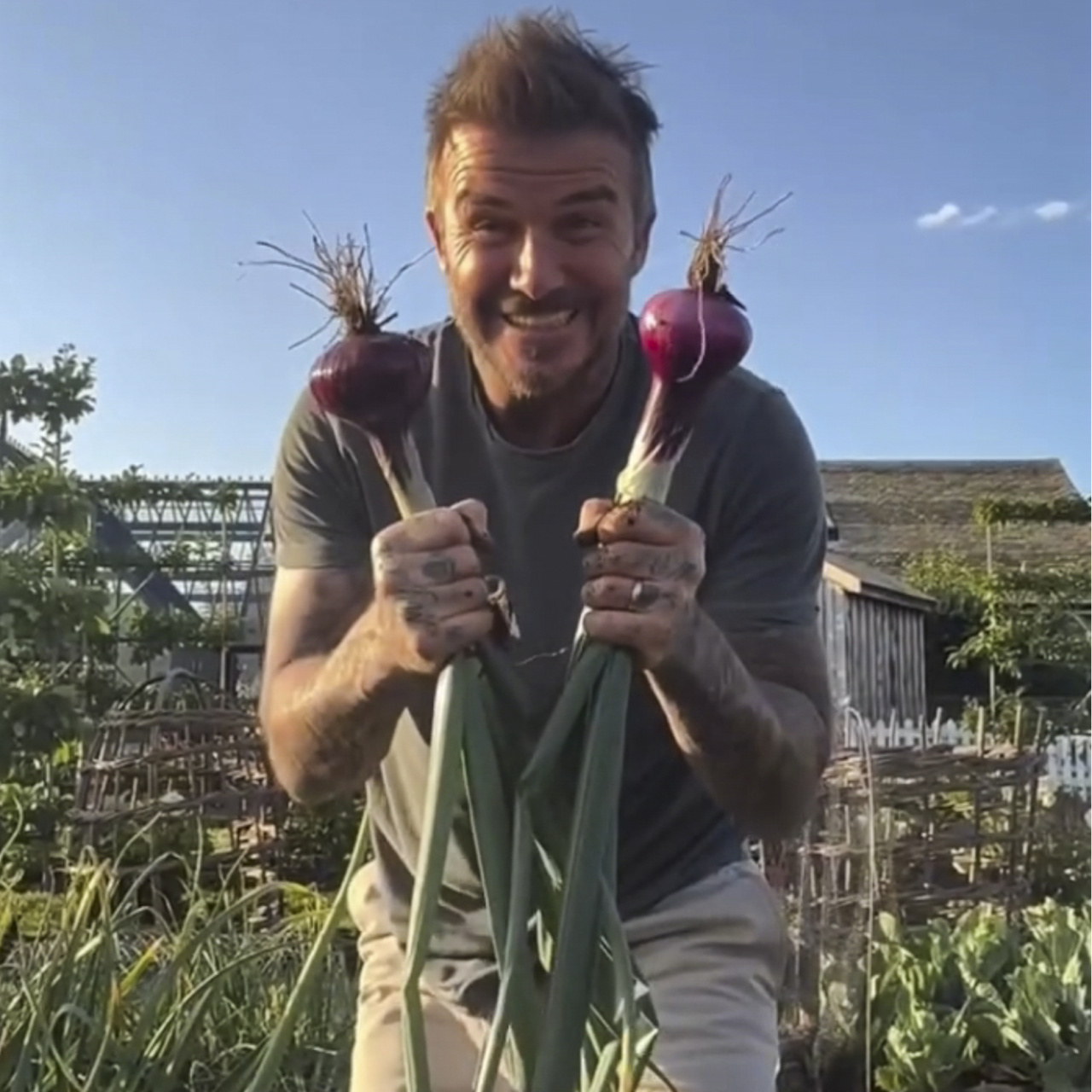 Bahçesini herkese gösterecek