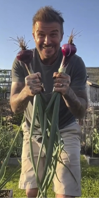 Bahçesini herkese gösterecek