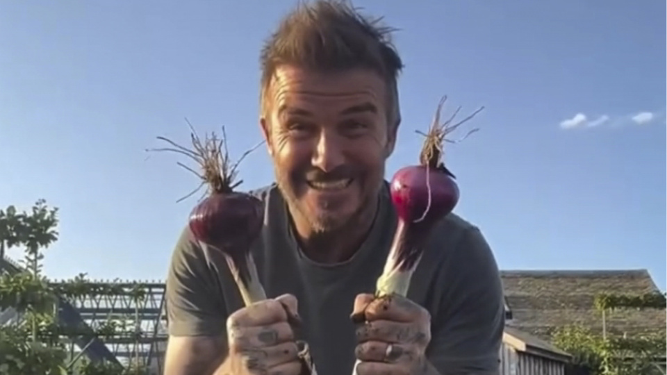 Bahçesini herkese gösterecek