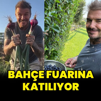 Bahçesini herkese gösterecek