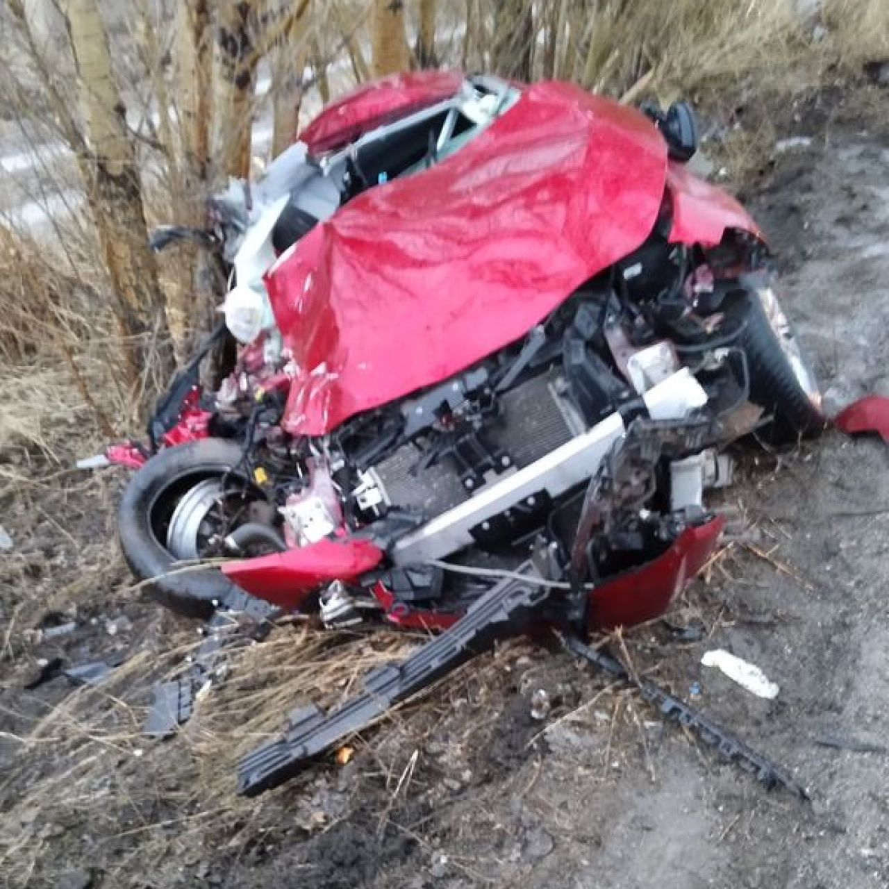 Şarampole uçup ağaçlara çarptı: 2 ölü