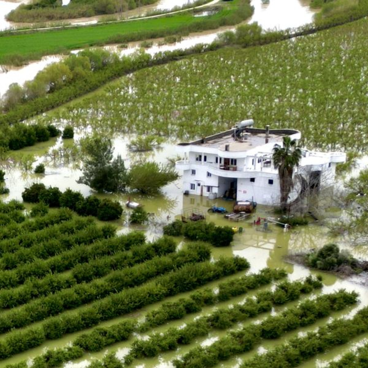 Mersin'de tarım arazileri su altında kaldı