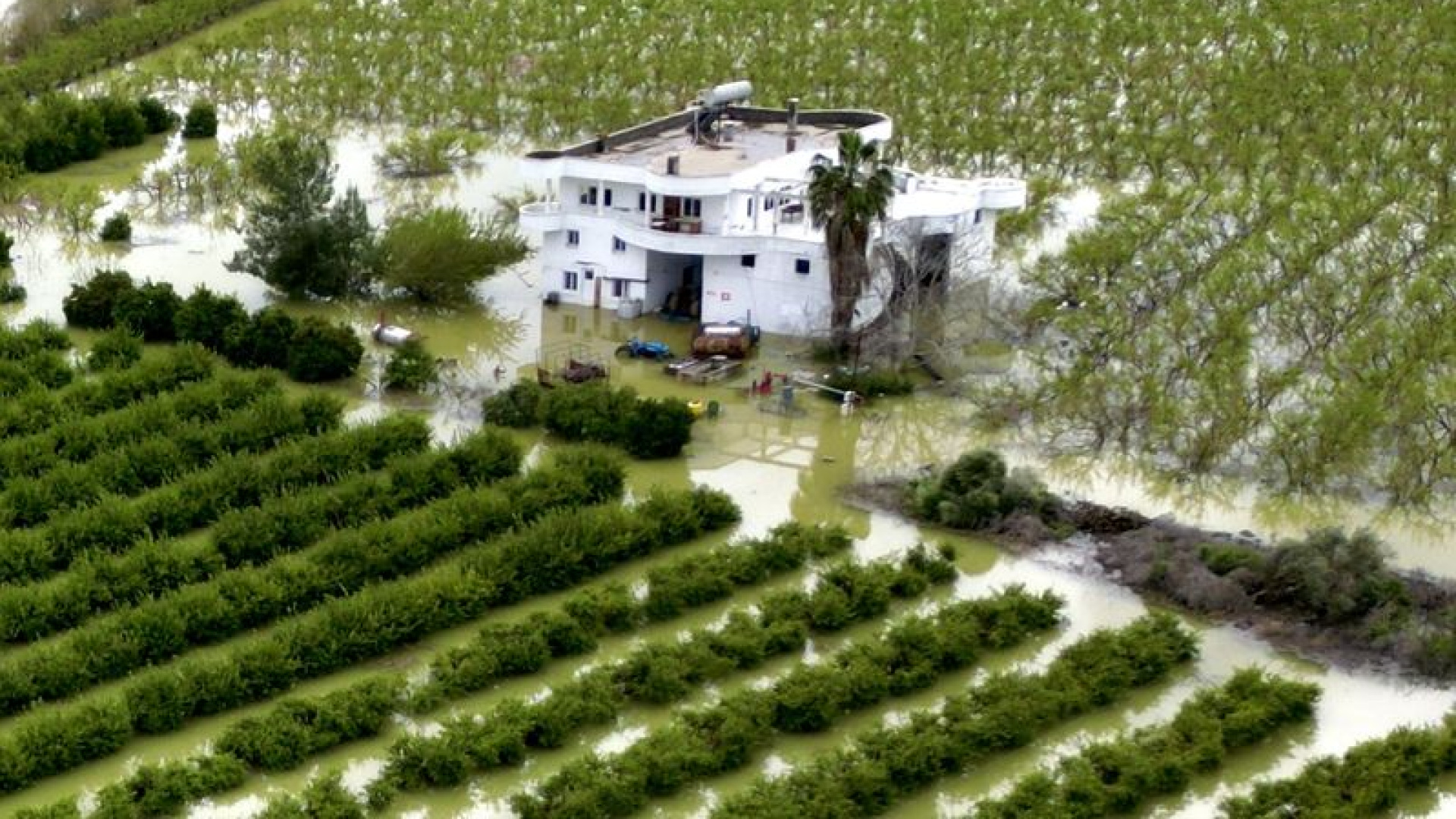 Mersin'de tarım arazileri su altında kaldı | Son dakika haberleri